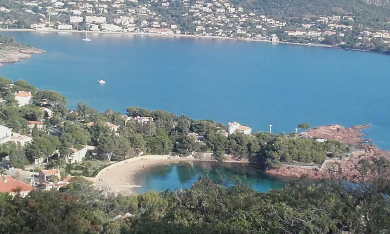 Appartement Vue Mer Piscines Parking Les Coraux Agay Plage Saint-Raphaël Buitenkant foto